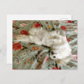 Grün Postkarte (Vorne/Hinten)