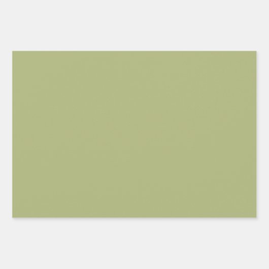 Grün/Rosa Niedlich Bird Baby DuscheWrapping Paper Geschenkpapier Set (Vorderseite 2)