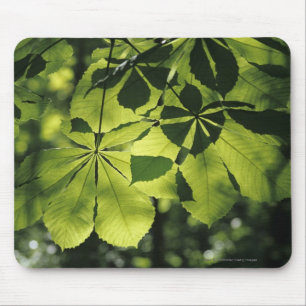 Grün sieben Punkt-Blätter mit Sun-Beleuchtung Mousepad