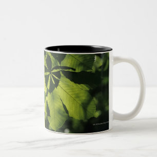 Grün sieben Punkt-Blätter mit Sun-Beleuchtung Zweifarbige Tasse