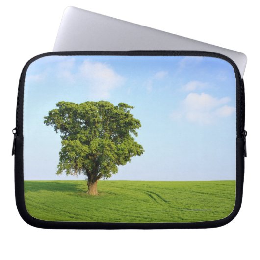 Grün, Stoff, Laptopschutzhülle (Vorderseite)