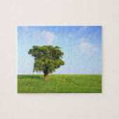 Grün, Stoff, Puzzle (Horizontal)