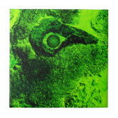 Grün suchen fliese (Vorderseite)