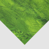 grün texturiert seidenpapier (Ausschnitt)