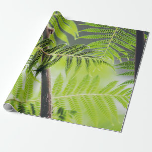 Grün Tropisch Geschenkpapier