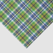 grün und blau Kariert Seidenpapier (Ausschnitt)