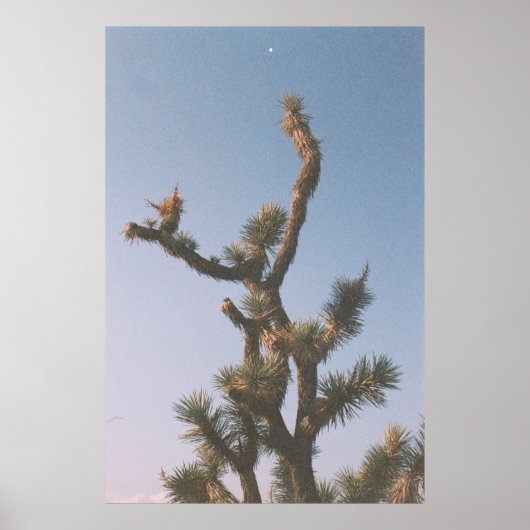 GRÜN UND BROWN BAUM UNTER BLAUEM HIMMEL POSTER (Vorne)