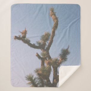 GRÜN UND BROWN BAUM UNTER BLAUEM HIMMEL SHERPADECKE