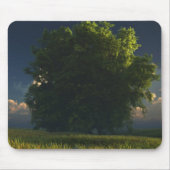 Grün und Gold Mousepad (Vorne)