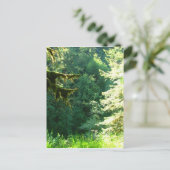 Grün und Grün Postkarte (Stehend Vorderseite)