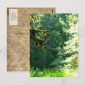 Grün und Grün Postkarte (Vorne/Hinten)