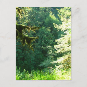 Grün und Grün Postkarte