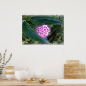 grün und rosa poster (Küche)