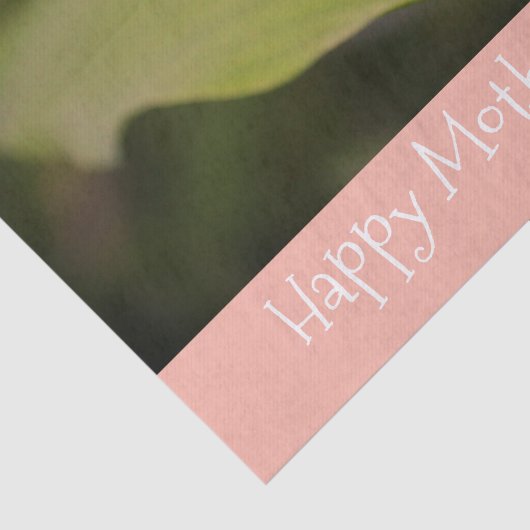 Grün und Rosa Seidenpapier (Ausschnitt)