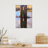 Grün und Rost Poster (Küche)