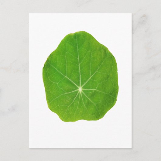 Grün unterstützen, Planet retten Postkarte (Vorderseite)