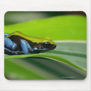 Grün-unterstütztes mantella mousepad