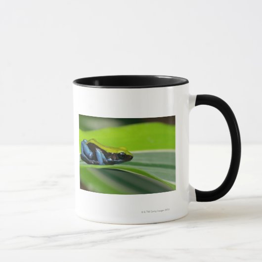 Grün-unterstütztes mantella tasse (Rechts)
