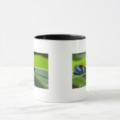 Grün-unterstütztes mantella tasse (Zentrum)