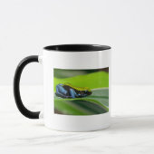 Grün-unterstütztes mantella tasse (Links)