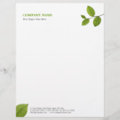 Grün verlässt Briefkopf (Vorderseite)