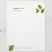 Grün verlässt Briefkopf (Vorne/Hinten)