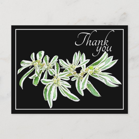Grün-Weiß-Blätter Schwarzer Hintergrund Vielen Dan Postkarte (Vorderseite)