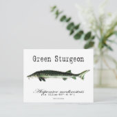 Grün-Weiß-Postkarte Postkarte (Stehend Vorderseite)