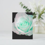 Grün & Weiß Rose... Postkarte (Stehend Vorderseite)