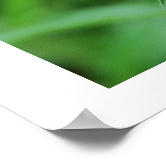 Grün werden poster (Ecke)