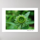 Grün werden poster (Vorne)