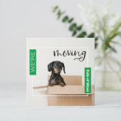 Grün Wir bewegen Dackel Hund in Box Card Dankeskarte (Stehend Vorderseite)