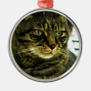 Grünäugiges Tabby-Gesicht Ornament Aus Metall