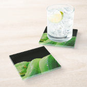 Grünbaumpython Glasuntersetzer (Schrägansicht)