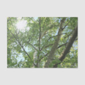 Grünbirne auf Baum gegen blauen Himmel Seidenpapier (Vorderseite)