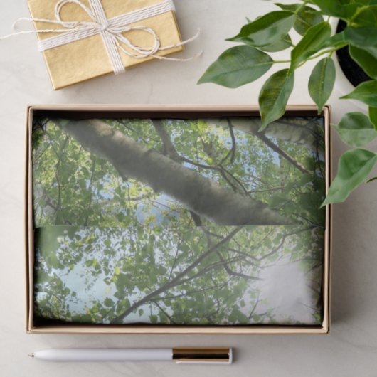 Grünbirne auf Baum gegen blauen Himmel Seidenpapier (Geschenk)