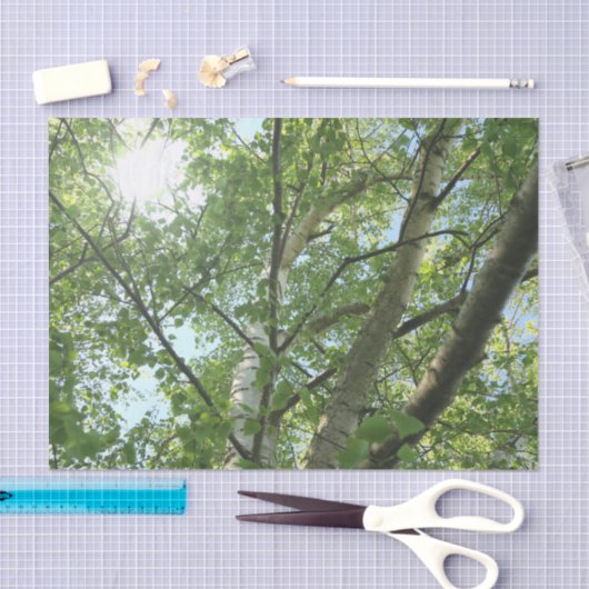 Grünbirne auf Baum gegen blauen Himmel Seidenpapier (Handwerk)