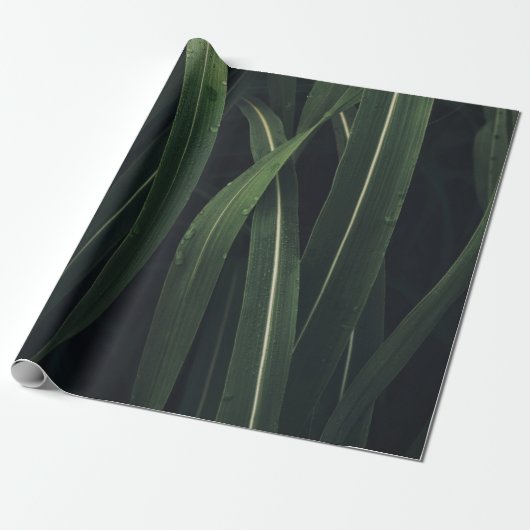 GRÜNBLÄTTRIGE PFLANZE GESCHENKPAPIER (Ungerollt)