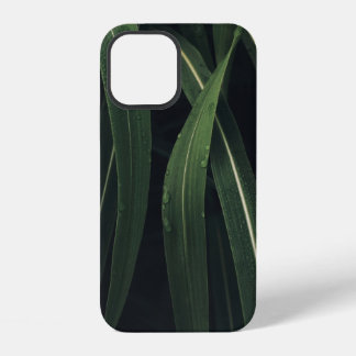GRÜNBLÄTTRIGE PFLANZE iPhone 12 HÜLLE