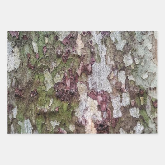 Grünbraune, graue Tarnholzrinde Geschenkpapier Set (Vorderseite)