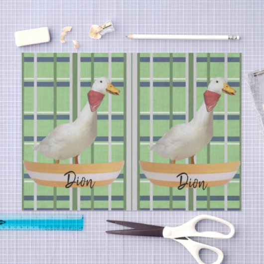 Grünbuch Karierte Ente Seidenpapier (Handwerk)