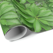 Grünbuch zur Pflanze Geschenkpapier (Rolleneckpunkt)