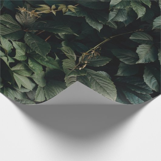 GRÜNBUCHSTABEN PFLANZE GESCHENKPAPIER (Ecke)