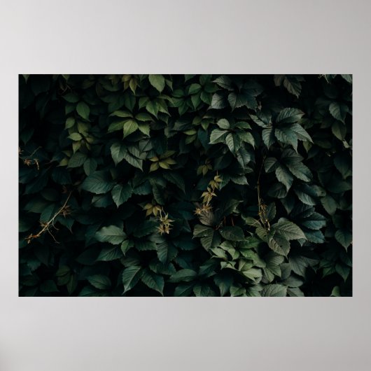 GRÜNBUCHSTABEN PFLANZE POSTER (Vorne)