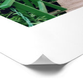 Grund des Hauses Monet Poster (Ecke)