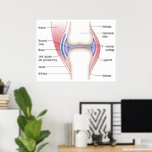 Grunddiagramm eines anatomisch-humanen Organismus Poster (Heimbüro)