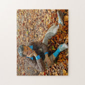 Gründe für die Skulptur New Jersey . Puzzle (Vertikal)