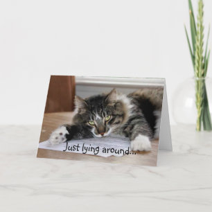 Gründe, warum ich Sie Cat Card vermissen Karte