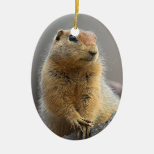 Grundeichhörnchen Keramikornament