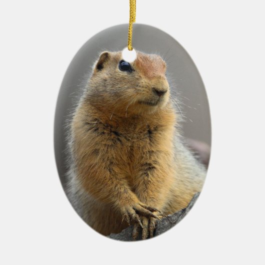 Grundeichhörnchen Keramikornament (Vorne)